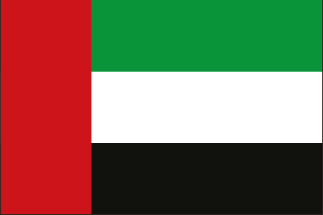 Flags2 45