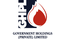Government Holdings