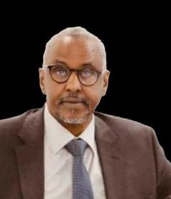 H.E. Dr Abdirizak Omar