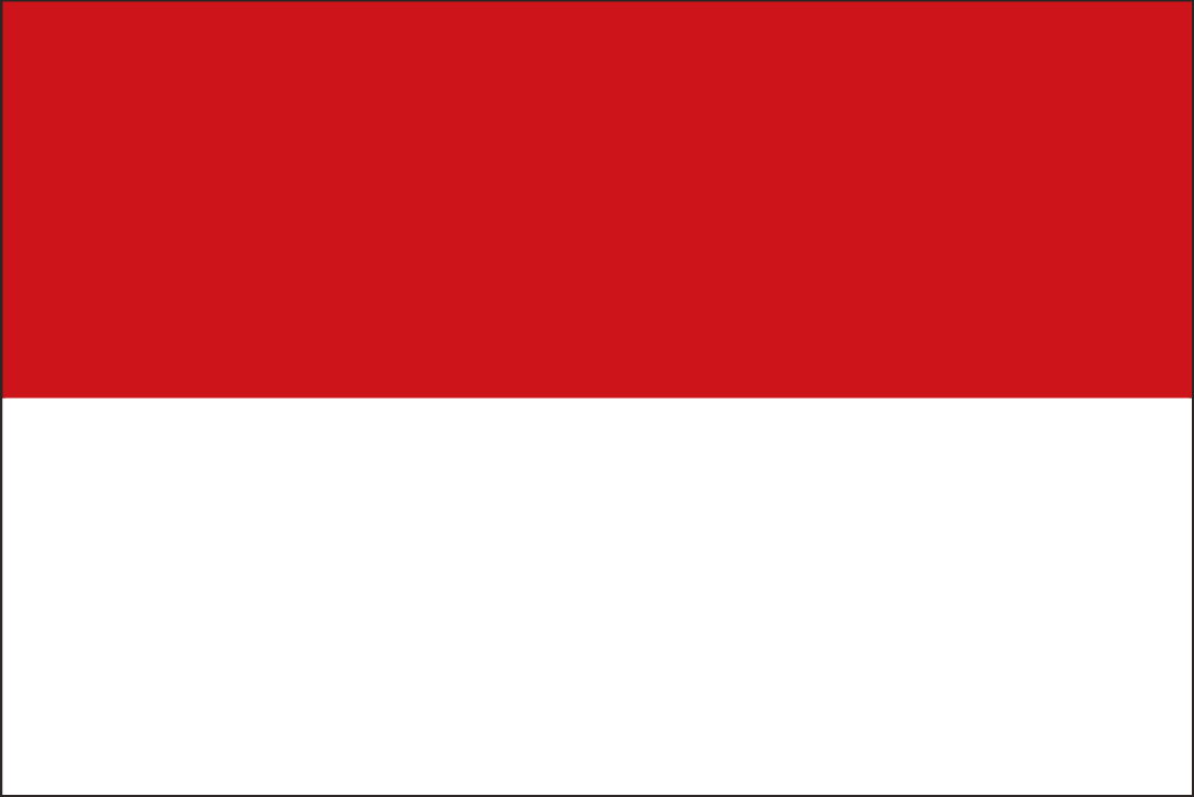 Flags2 11