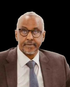 H.E. Dr Abdirizak Omar